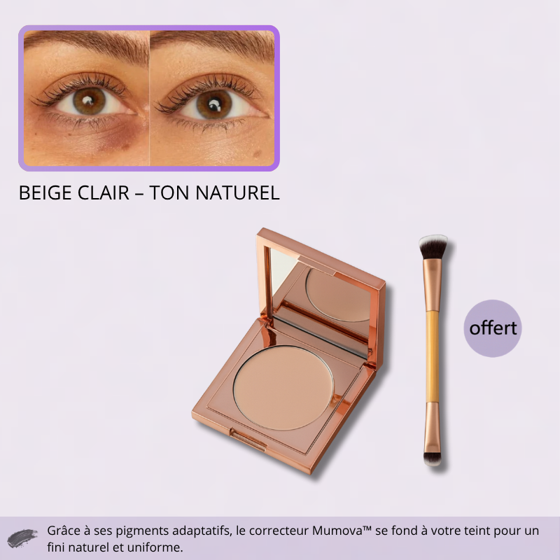 Correcteur Illuminateur Adaptatif – Obtenez un Éclat Parfait