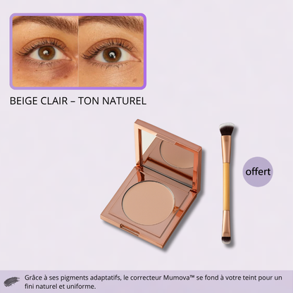 Correcteur Illuminateur Adaptatif – Obtenez un Éclat Parfait