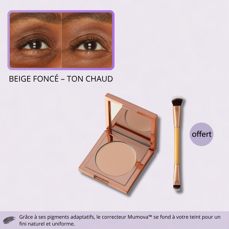 Correcteur Illuminateur Adaptatif – Obtenez un Éclat Parfait