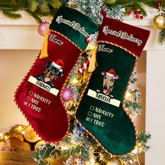 Special Delivery From Dog - Personalized Dogs Christmas Stocking