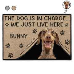 Custom Photo The Dogs Are In Charge Pet Lovers - Personalized Doormat