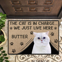 Custom Photo The Dogs Are In Charge Pet Lovers - Personalized Doormat